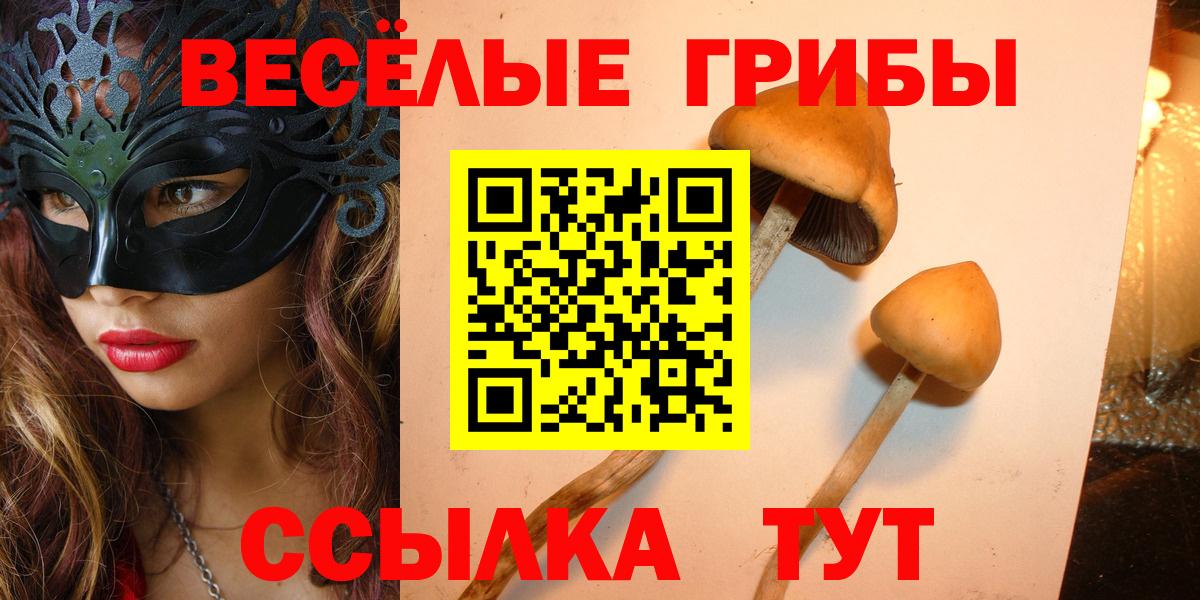 Златоуст  Галлюциногенные грибы мицелий  Вход с VPN 